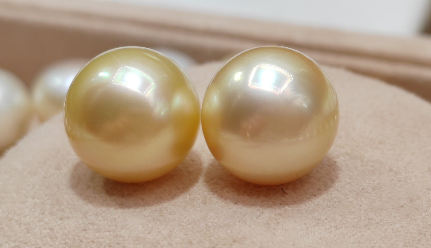 14ct gold earrings studs genuine golden south sea pearls 12.6mm