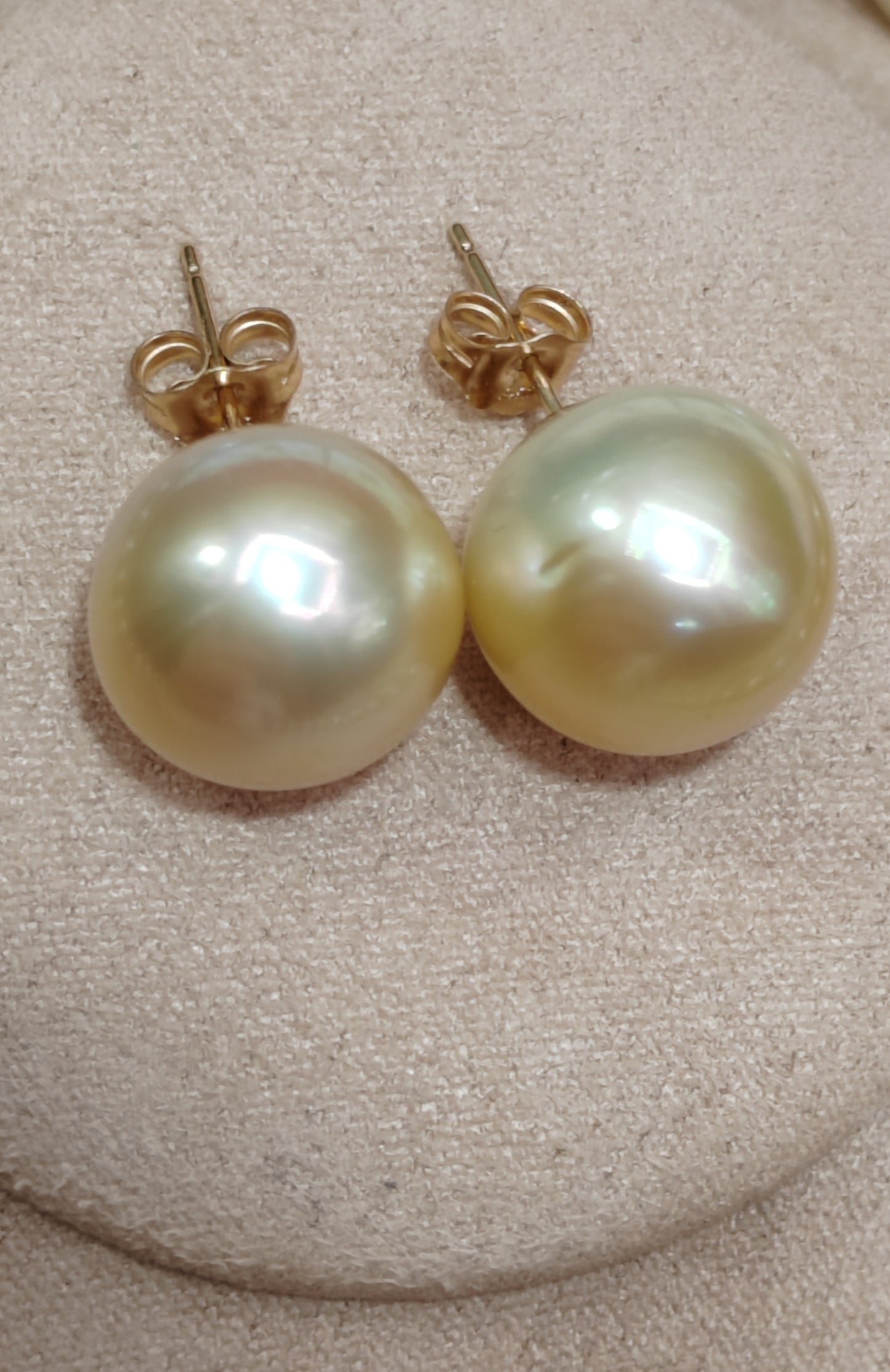 14ct gold earrings studs genuine golden south sea pearls 12.6mm