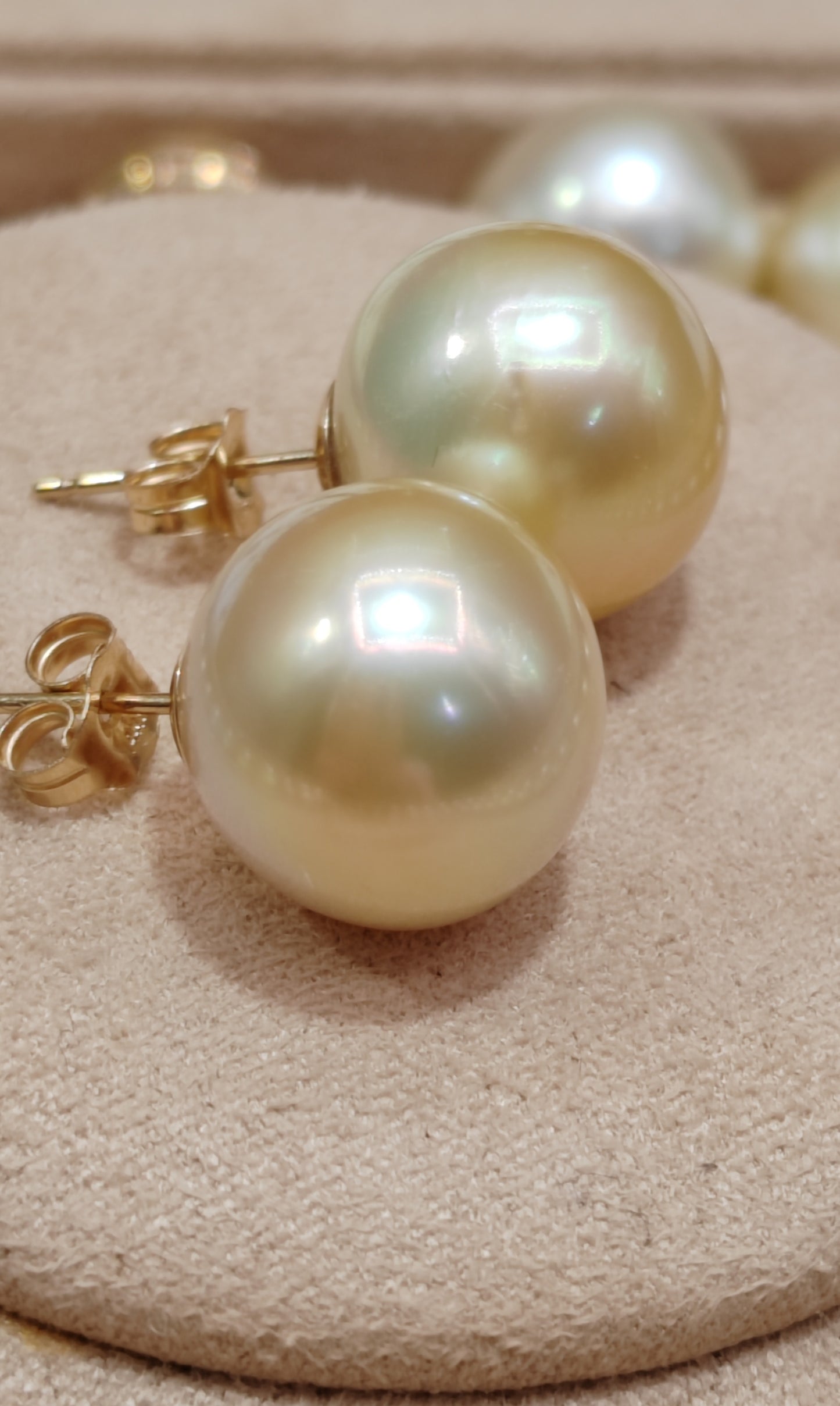 14ct gold earrings studs genuine golden south sea pearls 12.6mm