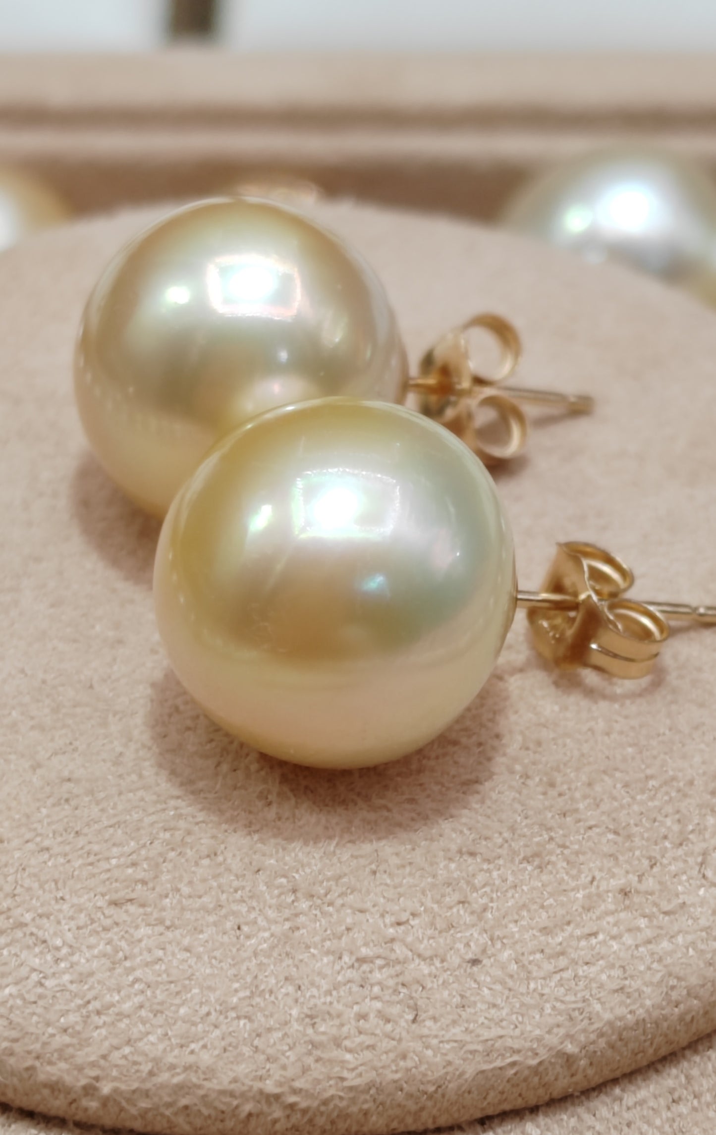 14ct gold earrings studs genuine golden south sea pearls 12.6mm