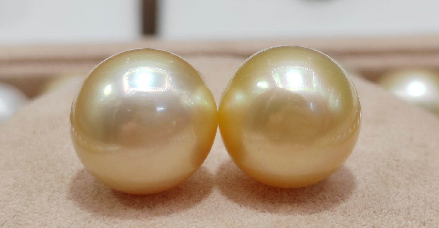 14ct gold earrings studs genuine golden south sea pearls 12.6mm