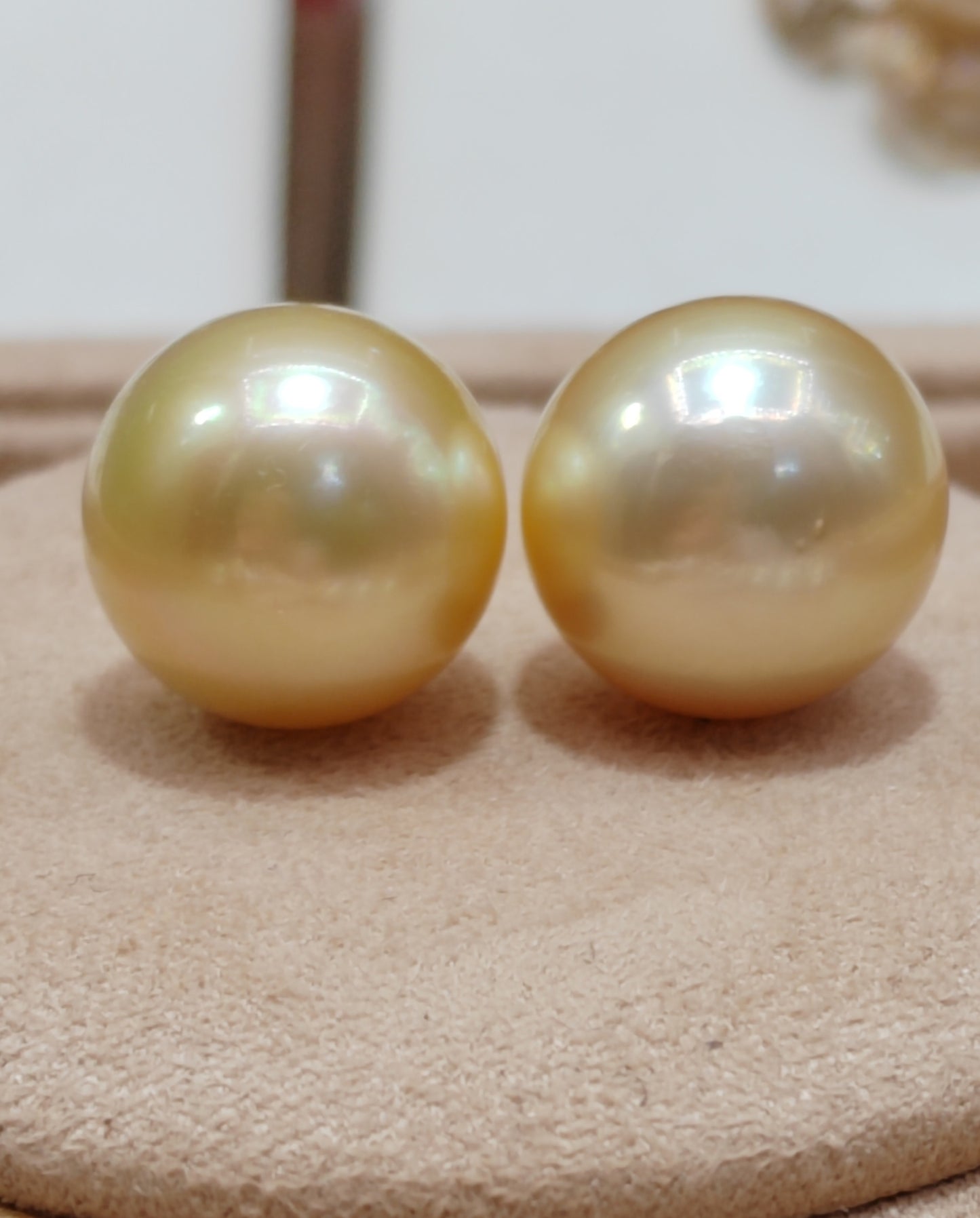 14ct gold earrings studs genuine golden south sea pearls 12.6mm