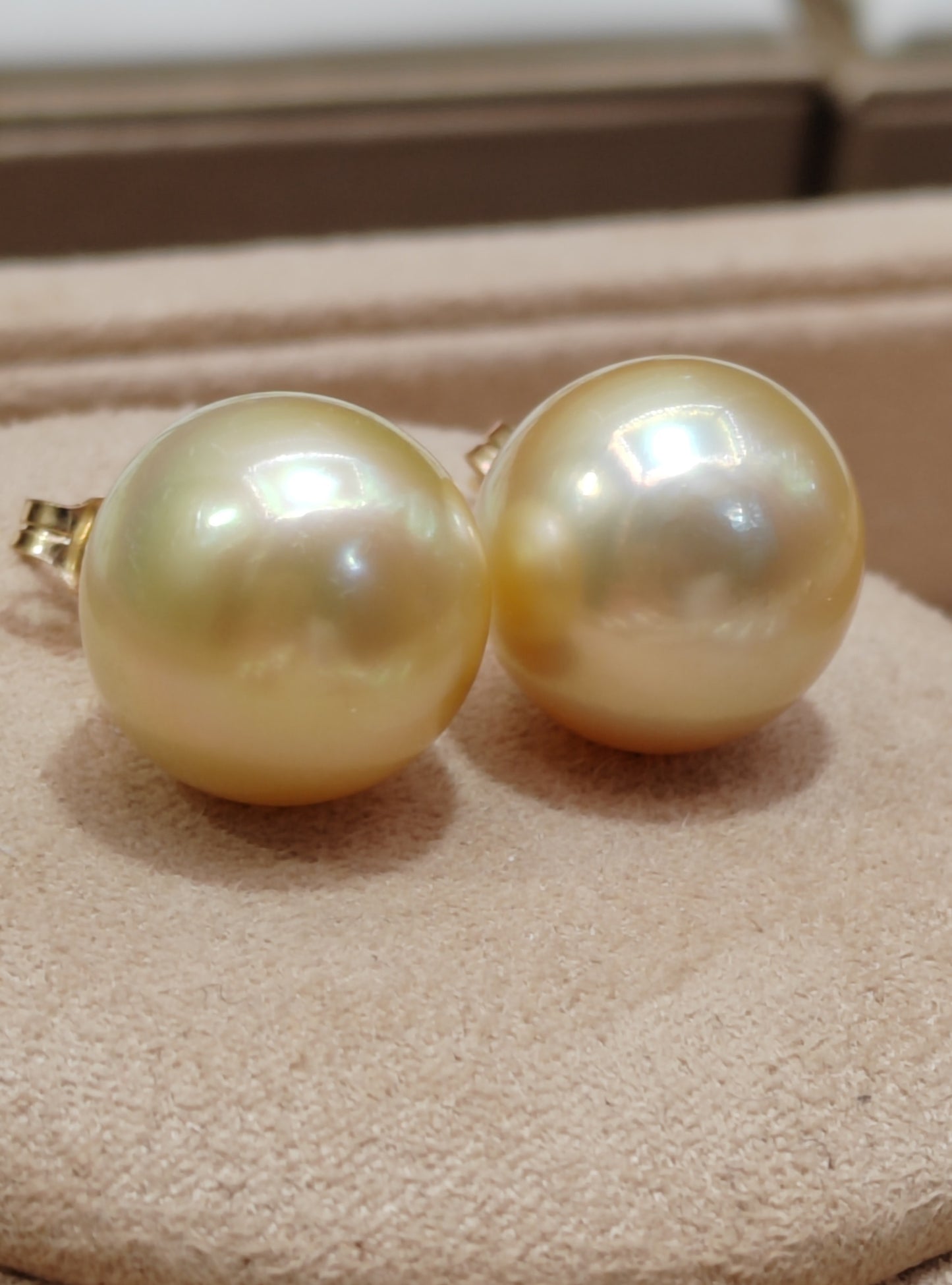 14ct gold earrings studs genuine golden south sea pearls 12.6mm