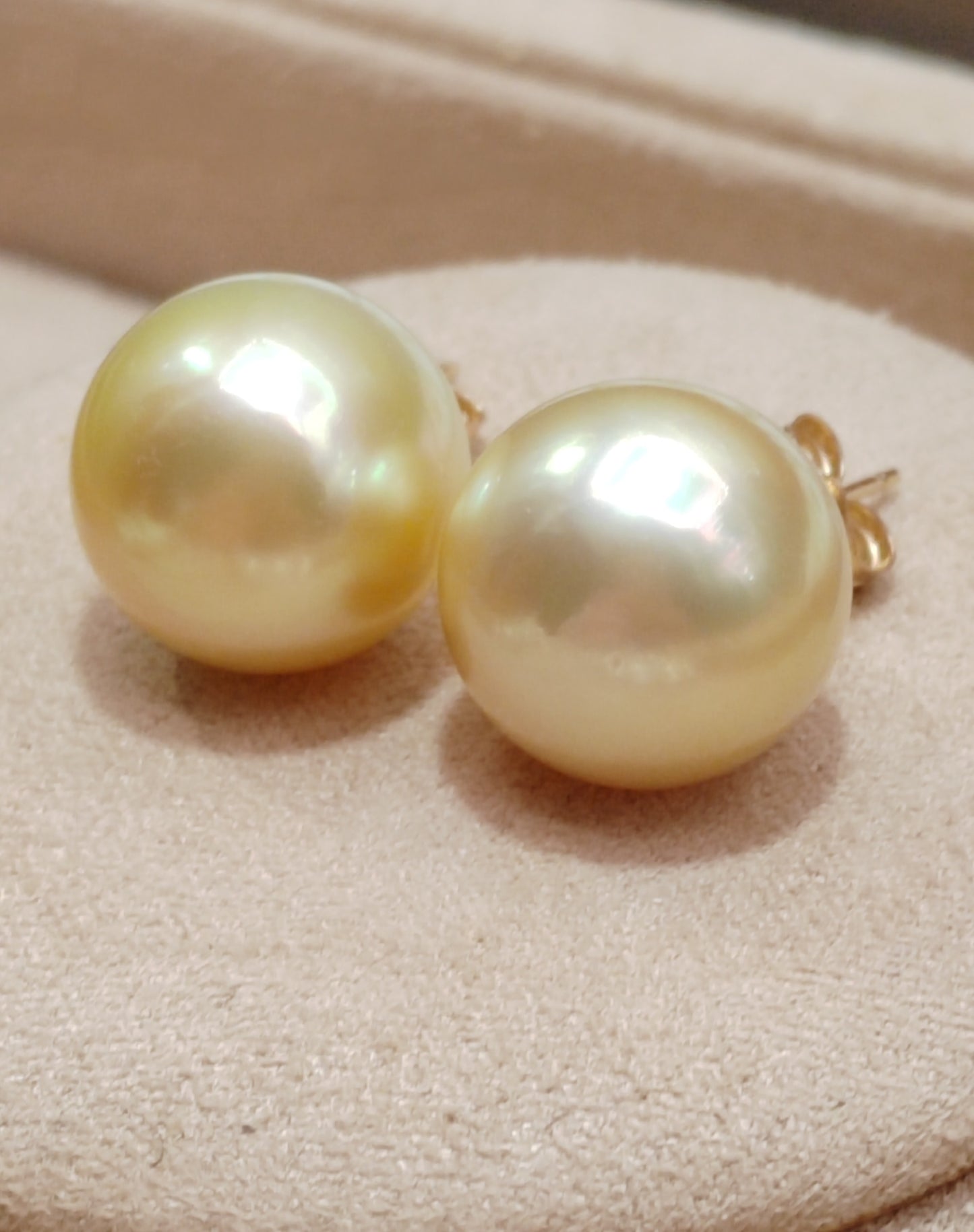 14ct gold earrings studs genuine golden south sea pearls 12.6mm