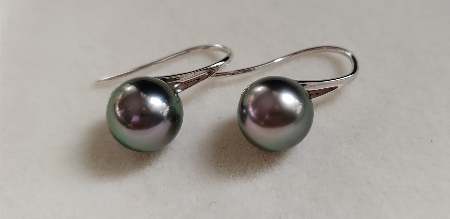 'Vivid Seafoam' Genuine Tahitian south sea pearls earrings Mangareva pearls