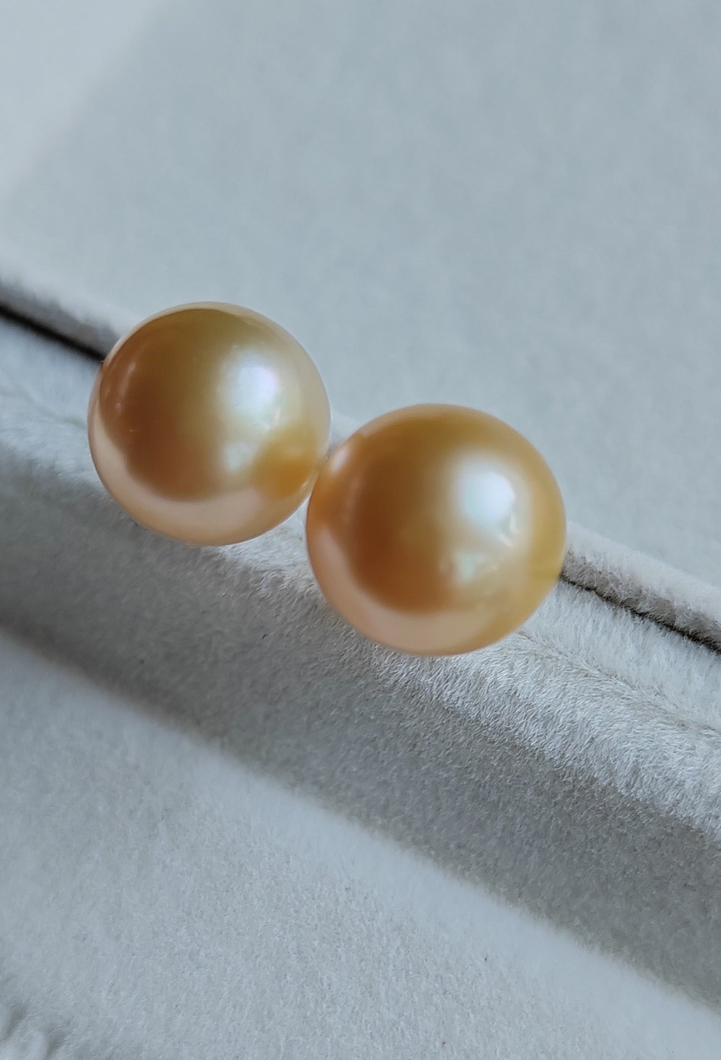14k gold essential earrings genuine golden south sea pearls 10.5mm