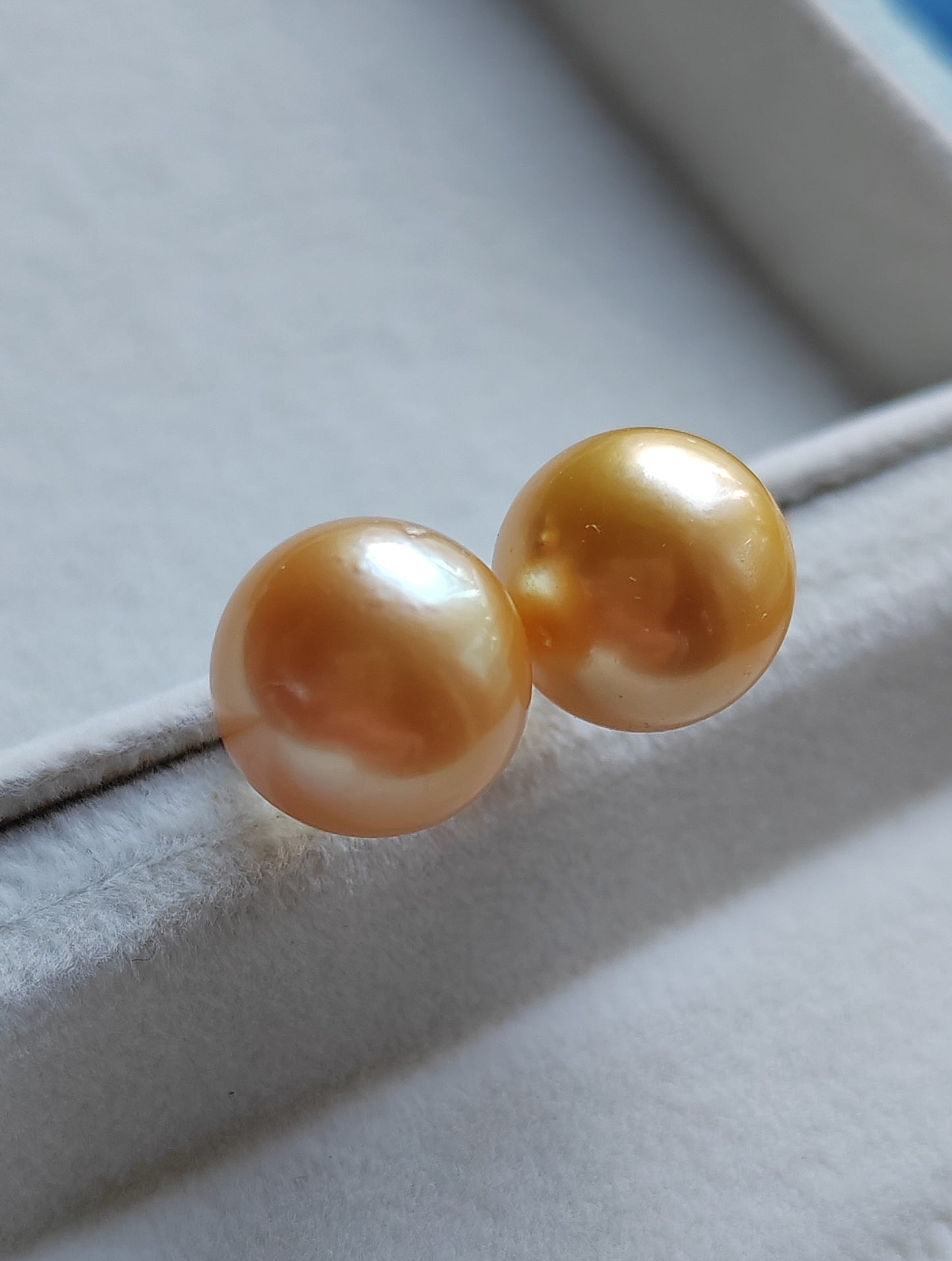 14k gold essential earrings genuine golden south sea pearls 11.5mm