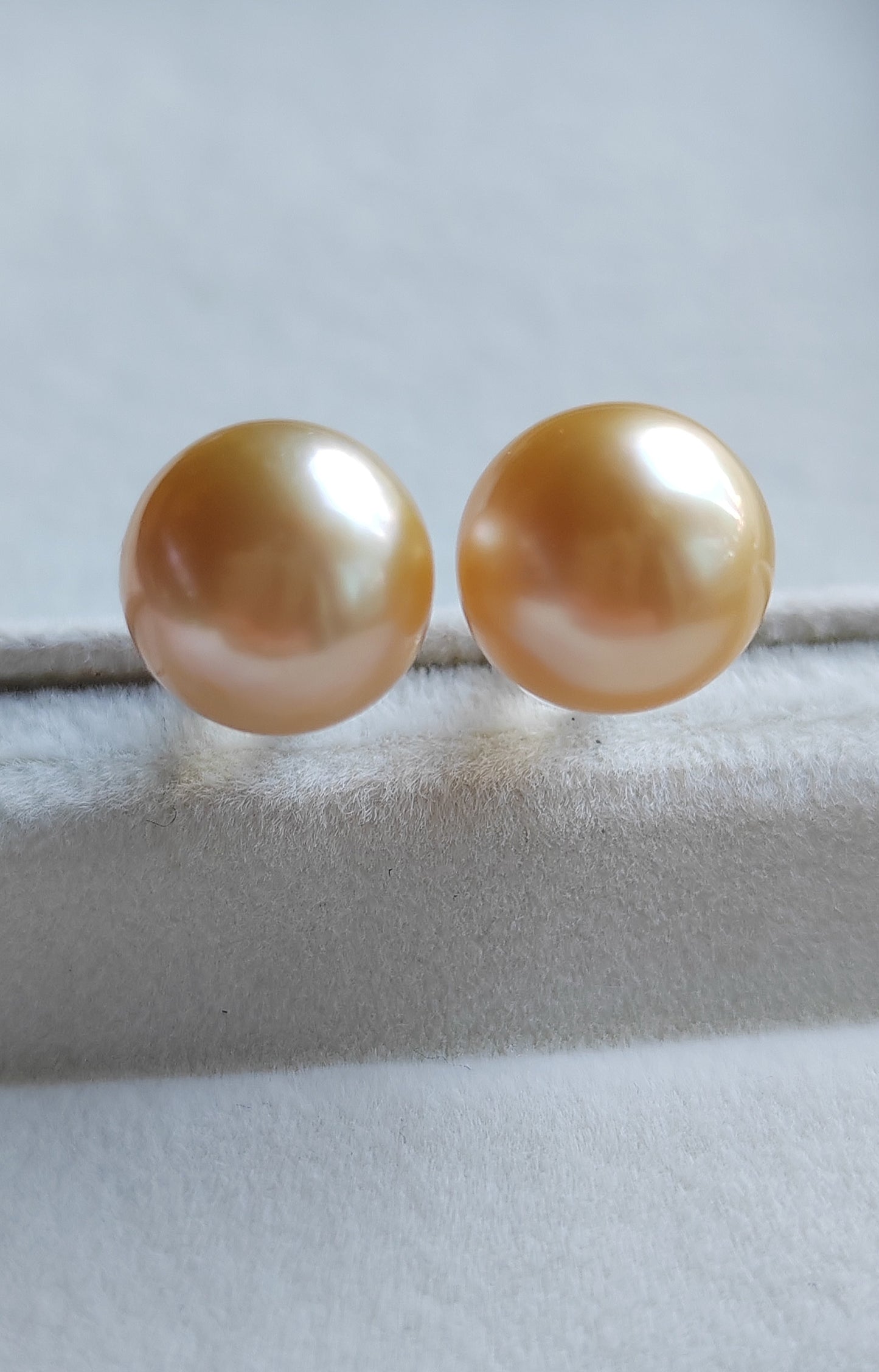 14k gold essential earrings genuine golden south sea pearls 10.5mm