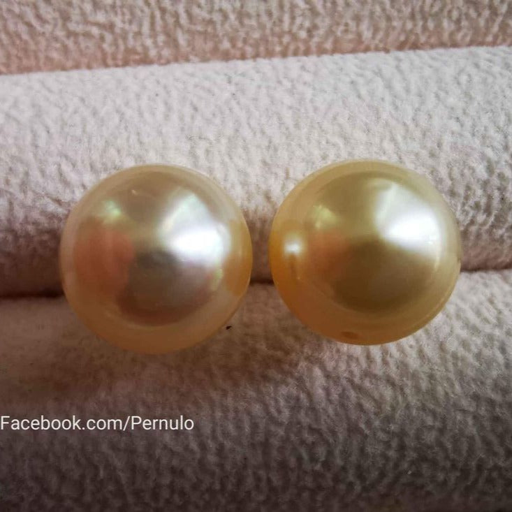 14k gold essential earrings studs genuine golden south sea pearl 12.4mm