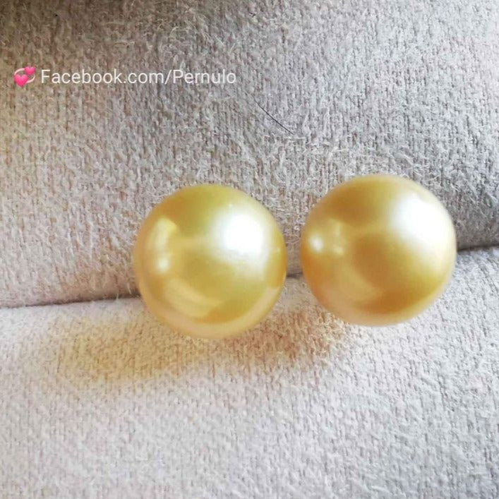 9.1mm Genuine golden south sea round pearl 18k gold essential earrings studs
