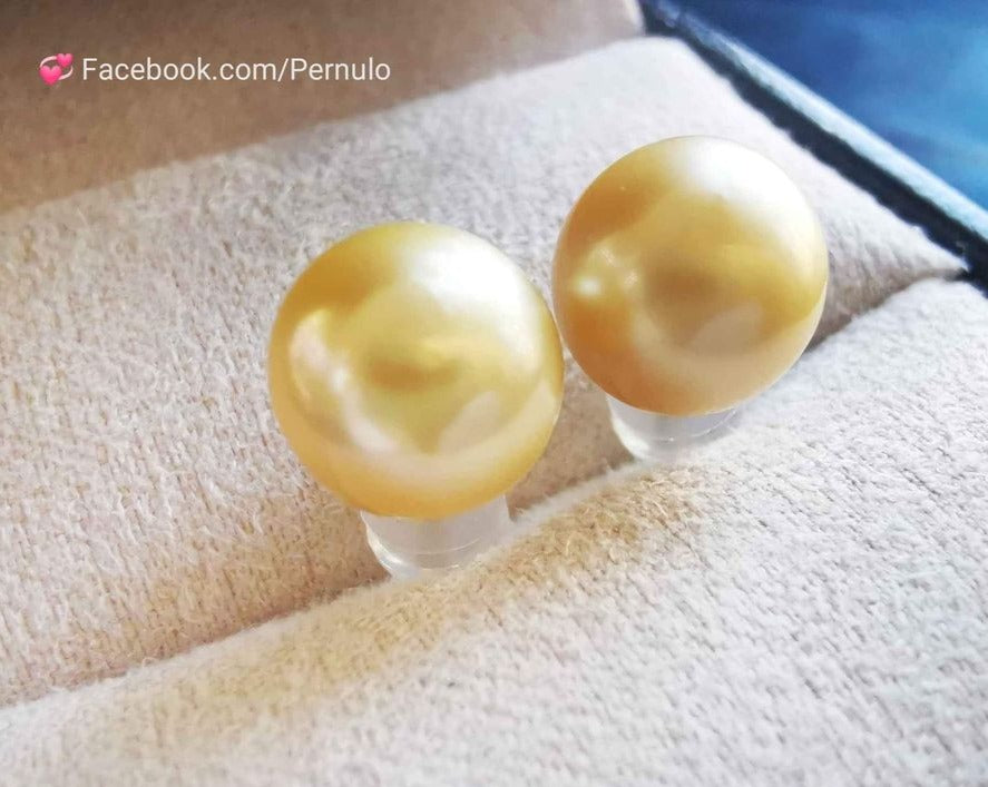 9.1mm Genuine golden south sea round pearl 18k gold essential earrings studs