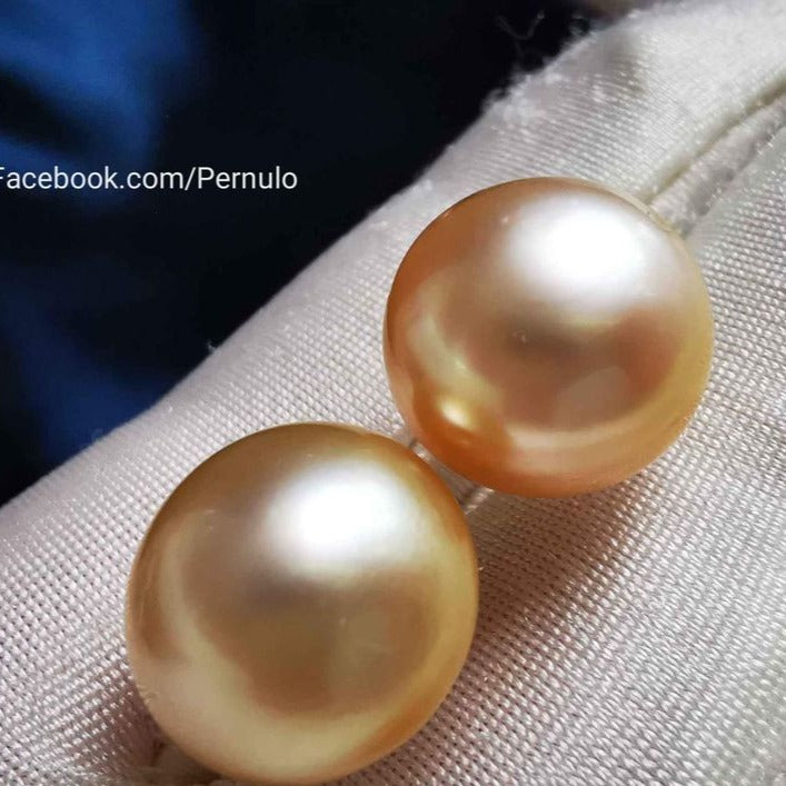 Classic 14k gold earrings studs genuine golden south sea pearl 13.2mm