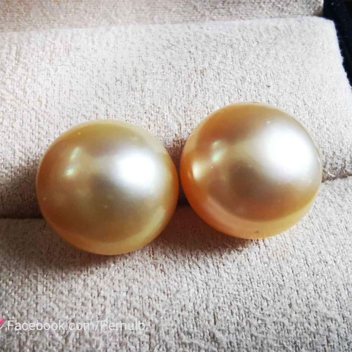 Classic 14k gold earrings studs genuine golden south sea pearl 13.2mm