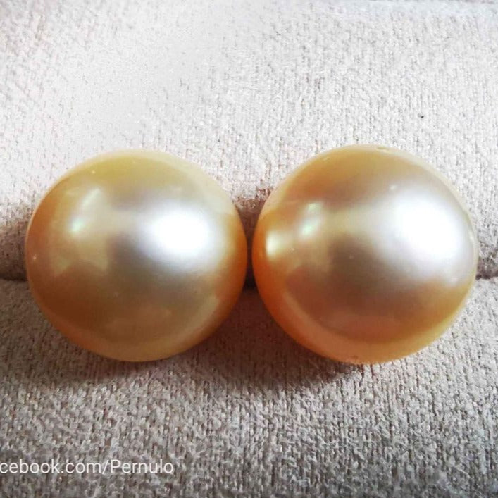 Classic 14k gold earrings studs genuine golden south sea pearl 13.2mm