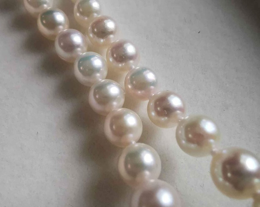 Learn about Akoya Pearls from the Experts at Pearl Paradise
