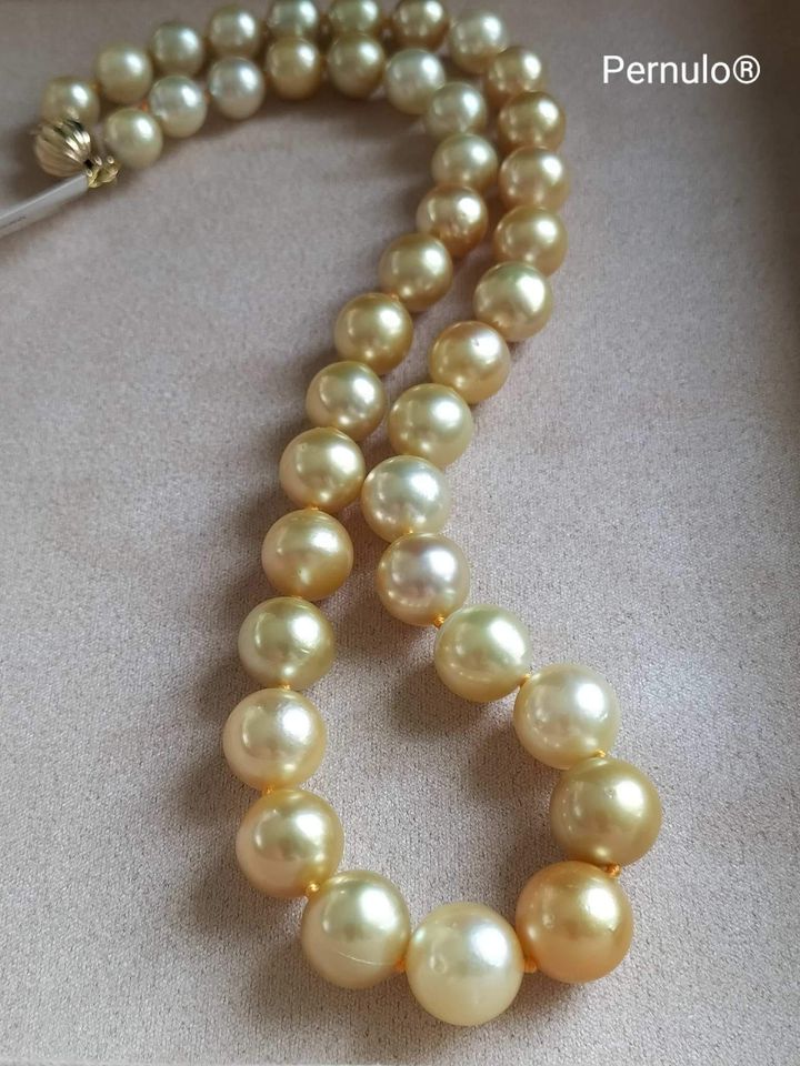 8.4-11.8mm Genuine Golden South Sea Pearls classic necklace