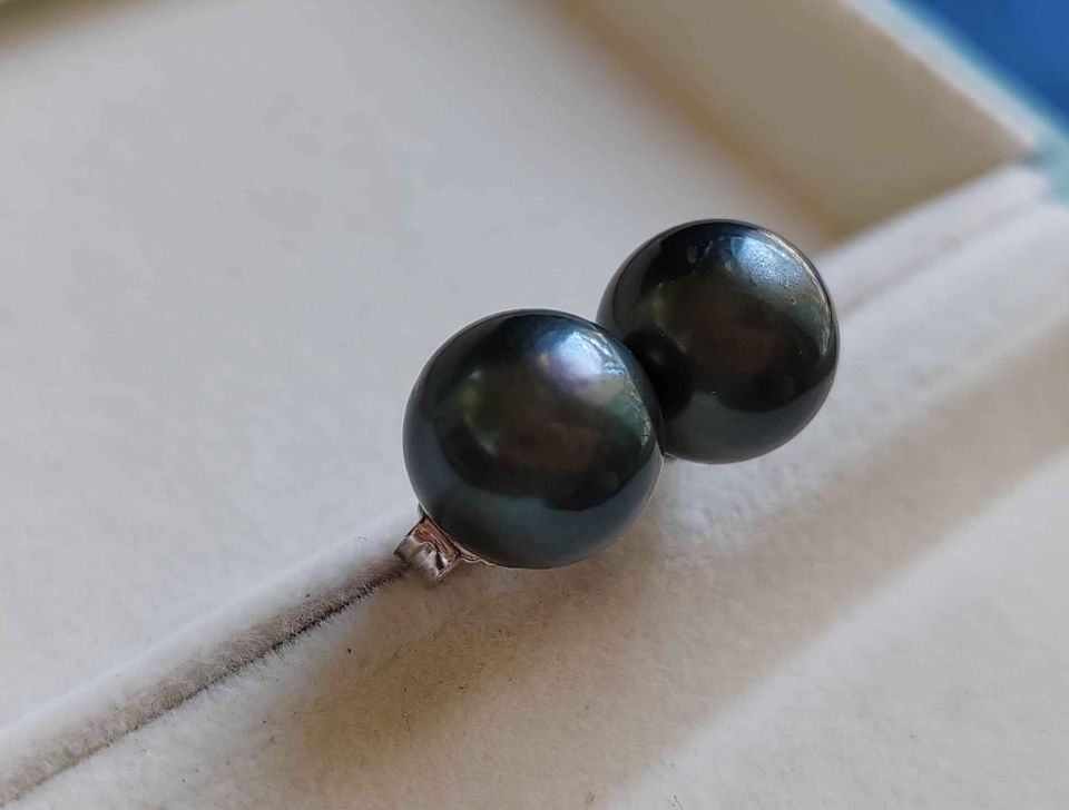 11.5mm Genuine tahitian south sea round pearl classic earrings studs