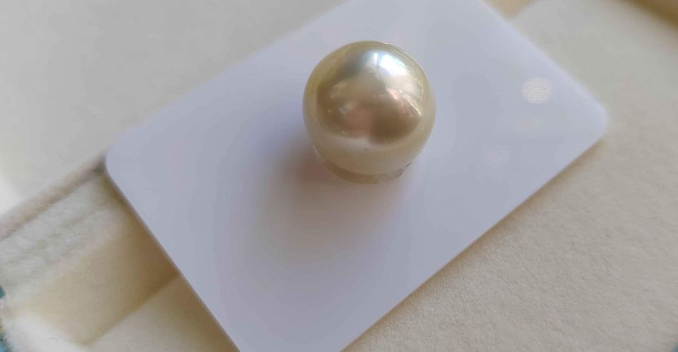 14.2mm Genuine south sea pearl semibaroque loose pearl