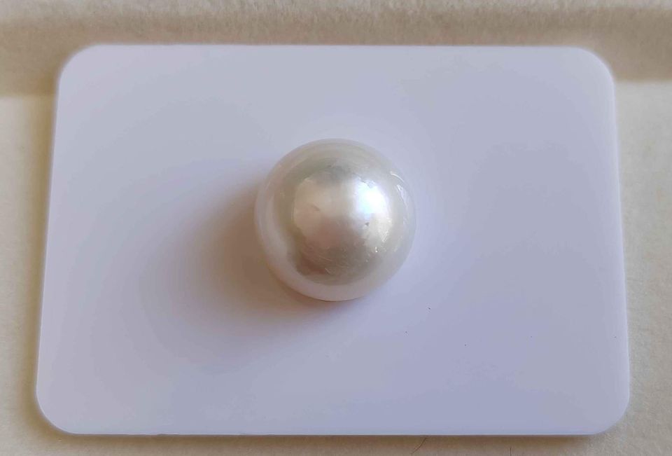 13.7mm Genuine south sea white pearl button loose pearl