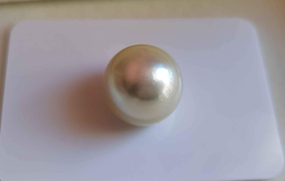 14.2mm Genuine south sea pearl semibaroque loose pearl