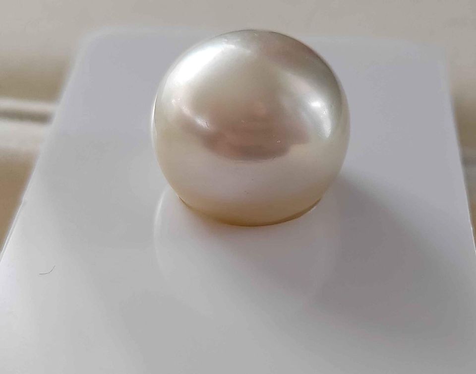 15.4mm Genuine south sea white pearl loose