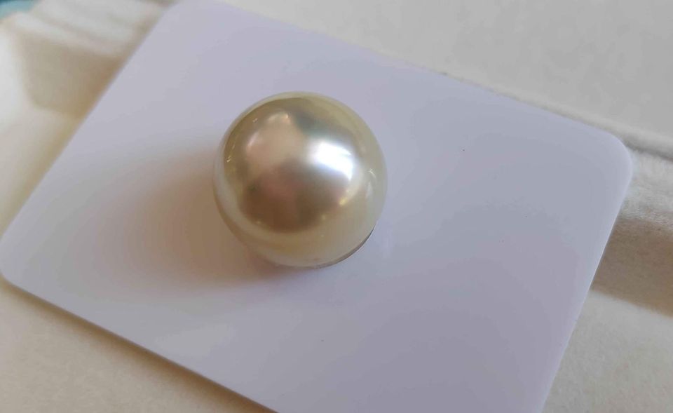 14.2mm Genuine south sea pearl semibaroque loose pearl