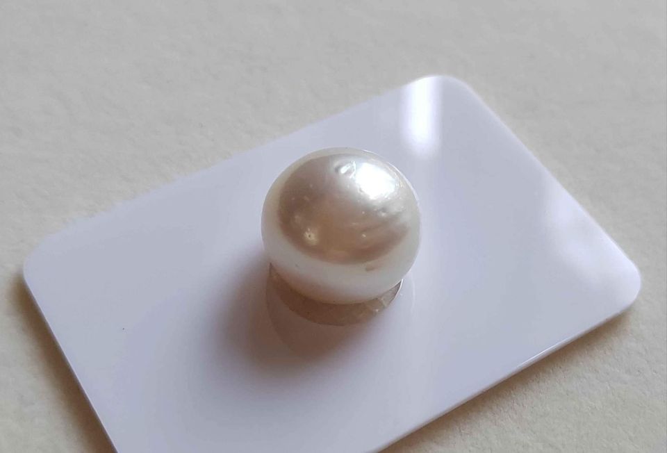 14.6mm Genuine south sea white pearl semibaroque loose