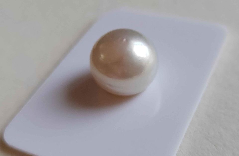 14.6mm Genuine south sea white pearl semibaroque loose