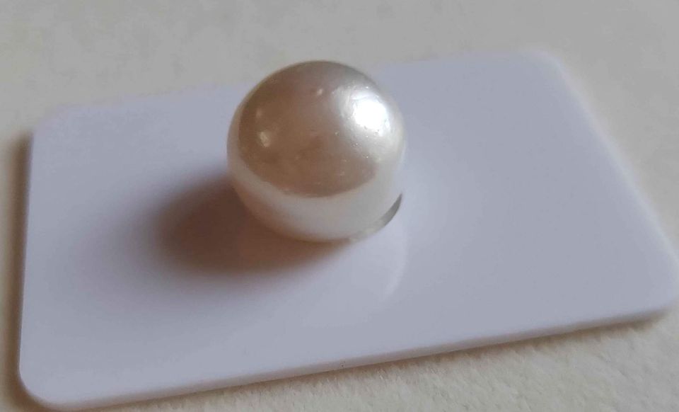 14.6mm Genuine south sea white pearl semibaroque loose