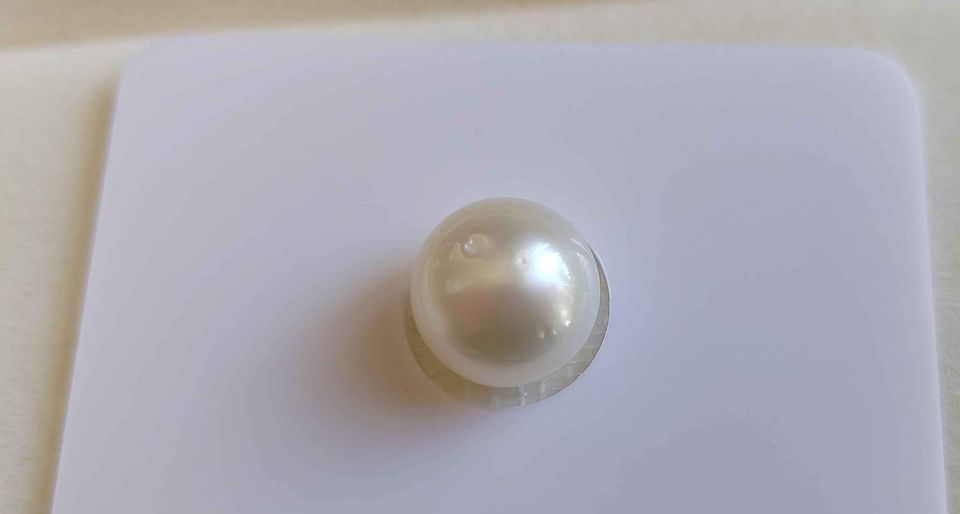 10.6mm Genuine south sea white pearl button loose pearl