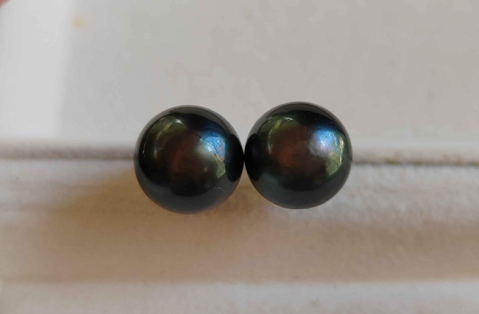 11.5mm Genuine tahitian south sea round pearl classic earrings studs