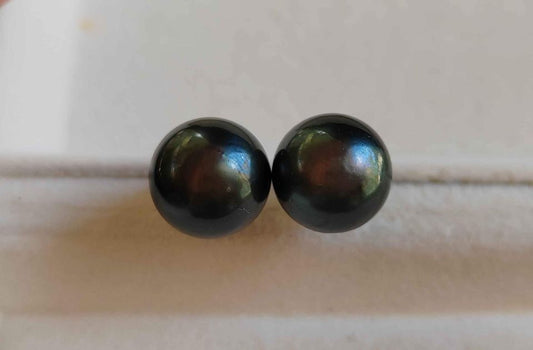 11.5mm Genuine tahitian south sea round pearl classic earrings studs