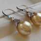 10.4mm Genuine golden south sea pearls classic earrings