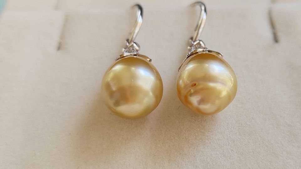 10.4mm Genuine golden south sea pearls classic earrings