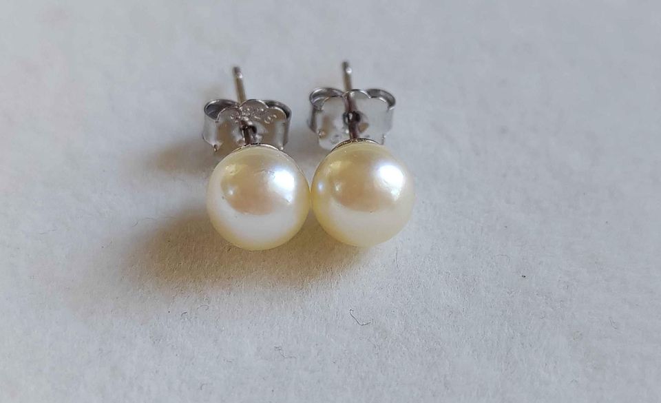 Special offer❤️Classic earrings studs genuine akoya round pearls champagne 6.3mm AA+