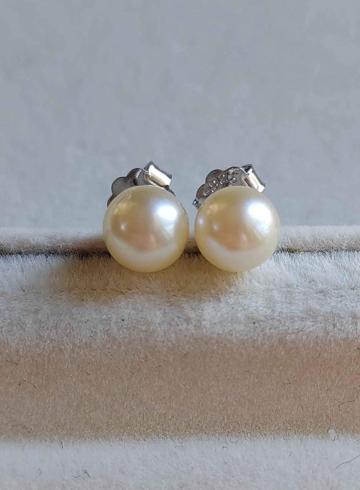 Special offer❤️Classic earrings studs genuine akoya round pearls champagne 6.3mm AA+