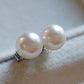 7.1mm Genuine akoya round pearls AA+ classic earrings studs