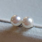 7.1mm Genuine akoya round pearls AA+ classic earrings studs