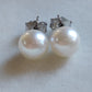 7.1mm Genuine akoya round pearls AA+ classic earrings studs