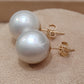 Clearance 12.1mm Genuine south sea white pearls classic 14ct gold earrings