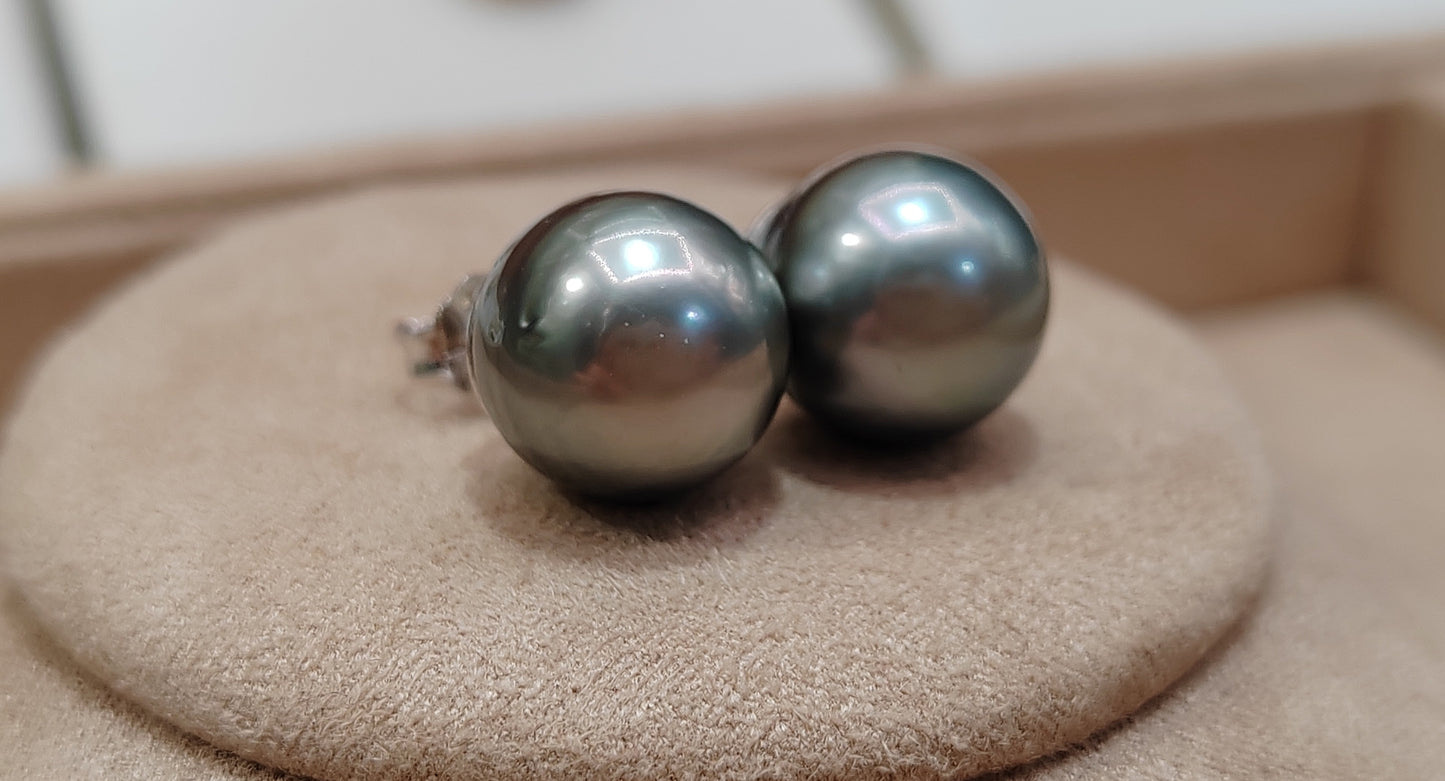 Clearance 11.1mm genuine tahitian south sea pearls classic earrings studs