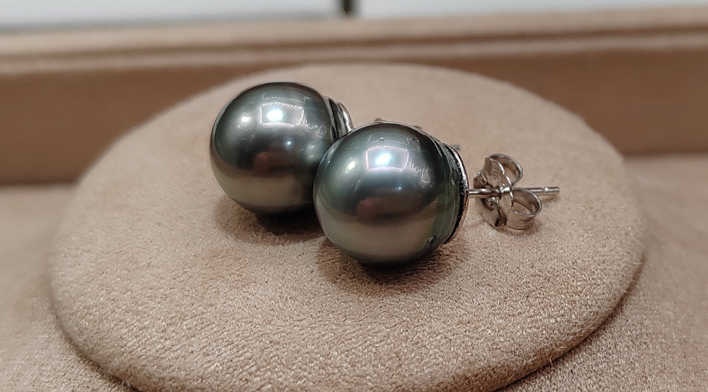 Clearance 11.1mm genuine tahitian south sea pearls classic earrings studs