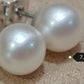Special offer ❤️7.2mm AA+ Genuine akoya round pearls classic earrings studs sterling silver