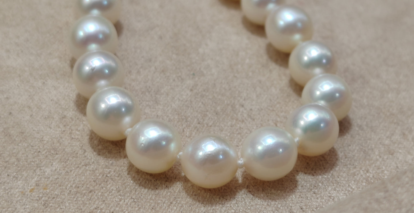 6.5-7mm Genuine akoya pearls classic earrings 46.5cm