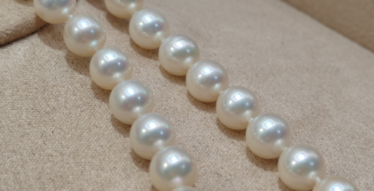 6.5-7mm Genuine akoya pearls classic earrings 46.5cm