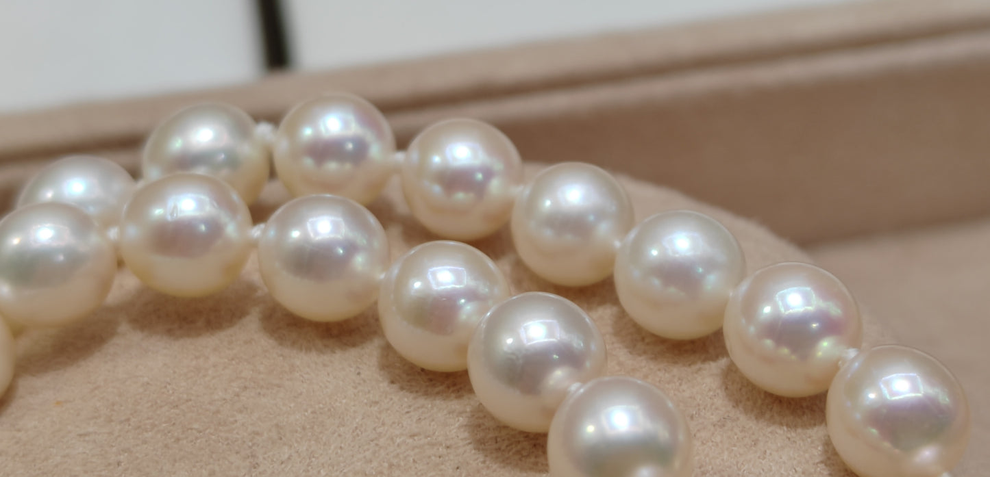 6.5-7mm Genuine akoya pearls classic earrings 46.5cm