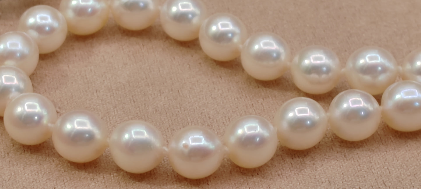 6.5-7mm Genuine akoya pearls classic earrings 46.5cm