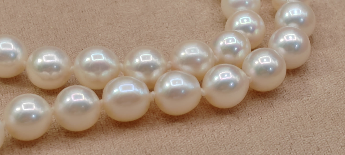 6.5-7mm Genuine akoya pearls classic earrings 46.5cm