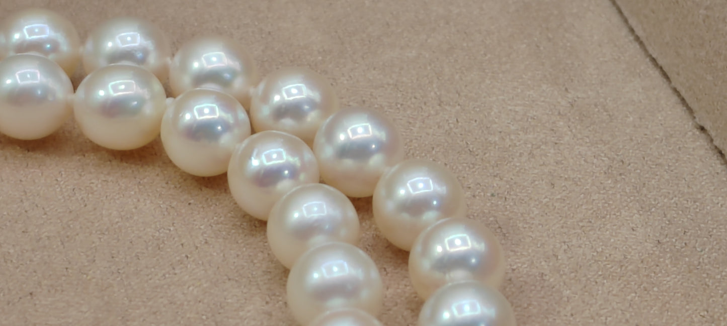 6.5-7mm Genuine akoya pearls classic earrings 46.5cm