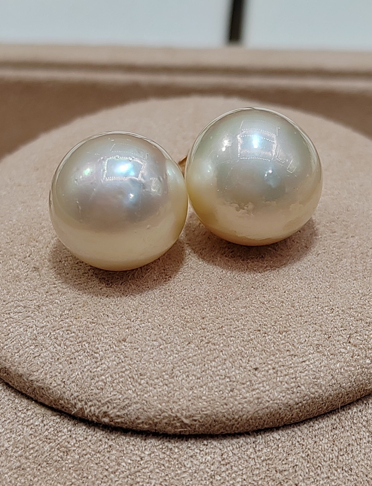 Clearance 12.5mm Genuine south sea pearls classic 14ct gold earrings studs